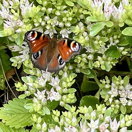 Ferienhaeusle Nina By Interhome Vakantiehuis